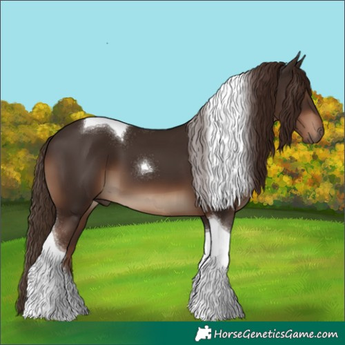 Horse Color:Liver Chestnut Tobiano