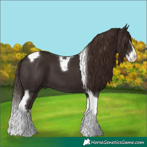 Horse Color:Liver Chestnut Splash Tobiano