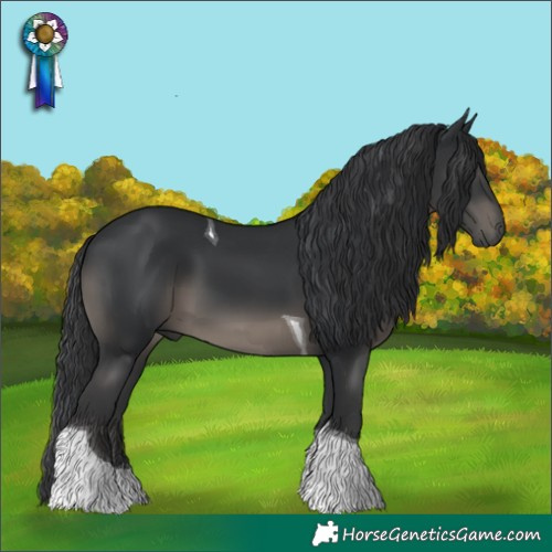 Horse Color:Black Tobiano