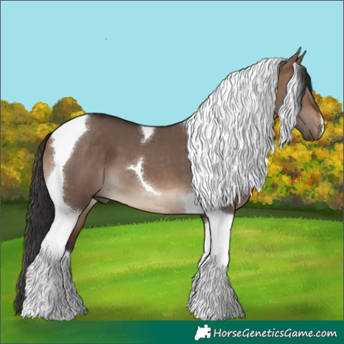 Horse Color:Brown Dun Tobiano 