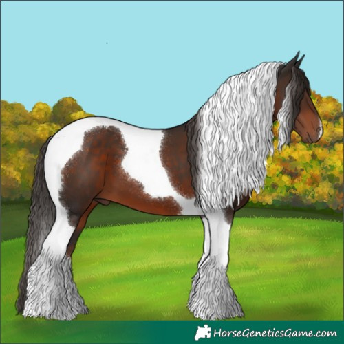 Horse Color:Liver Chestnut Tobiano