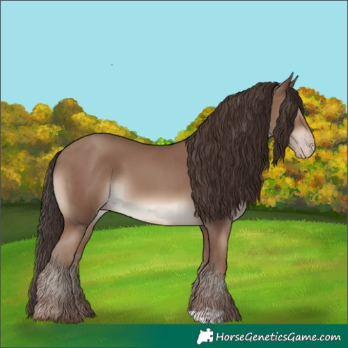 Horse Color:Classic Champagne