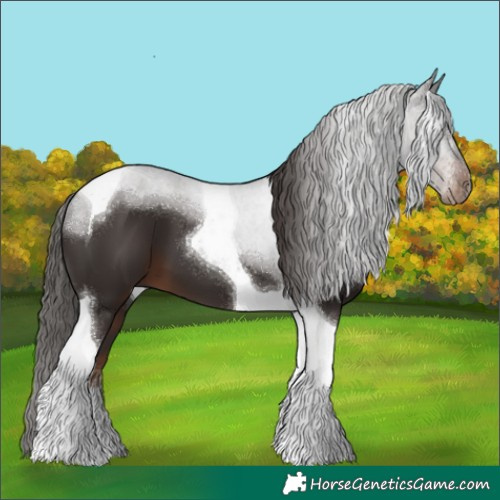 Horse Color:Liver Chestnut Tobiano 