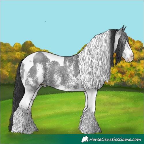 Horse Color:Black Sabino Tobiano