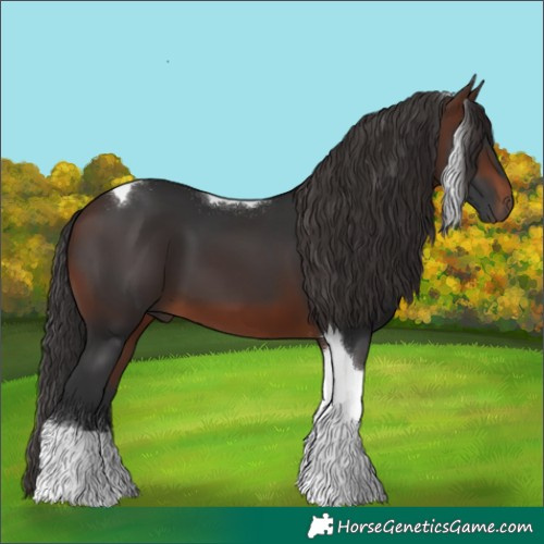Horse Color:Brown Tobiano 