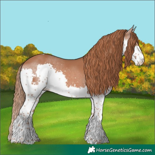 Horse Color:Chestnut Splash Tobiano Rabicano 