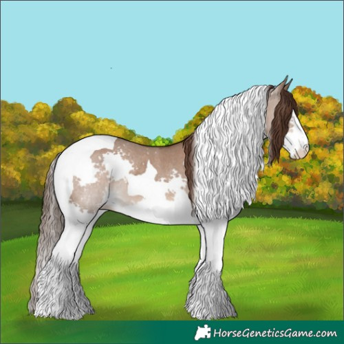 Horse Color:Liver Red Dun Splash Tobiano Rabicano 