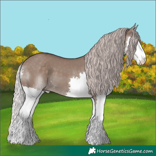 Horse Color:Silver Grullo Splash