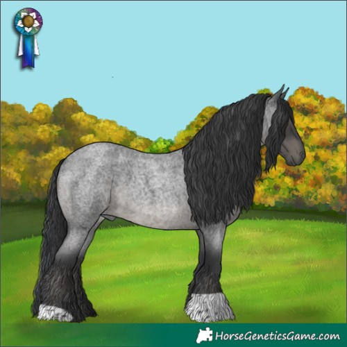 Horse Color:Platinum Blue Roan 