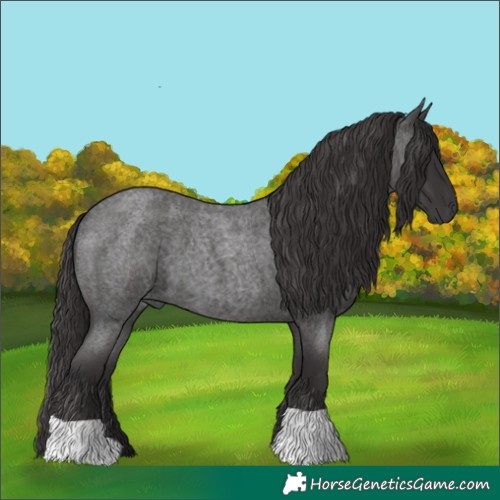 Horse Color:Smoky Blue Roan