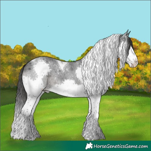 Horse Color:Blue Roan Splash Tobiano