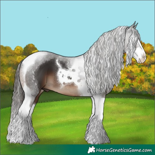 Horse Color:Liver Chestnut Splash Tobiano