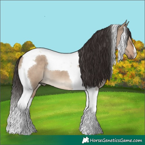 Horse Color:Liver Red Dun Tobiano 