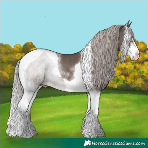 Horse Color:Silver Black Sabino Tobiano