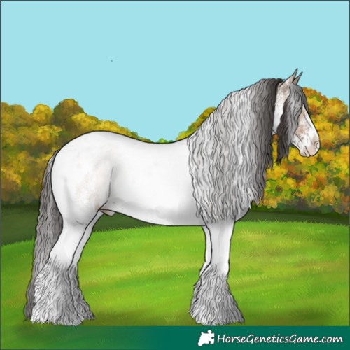 Horse Color:White Spotted Liver Red Dun Tobiano Rabicano 