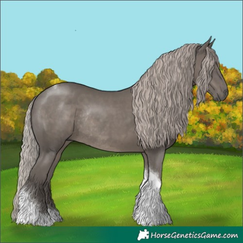 Horse Color:Silver Black Tobiano Rabicano