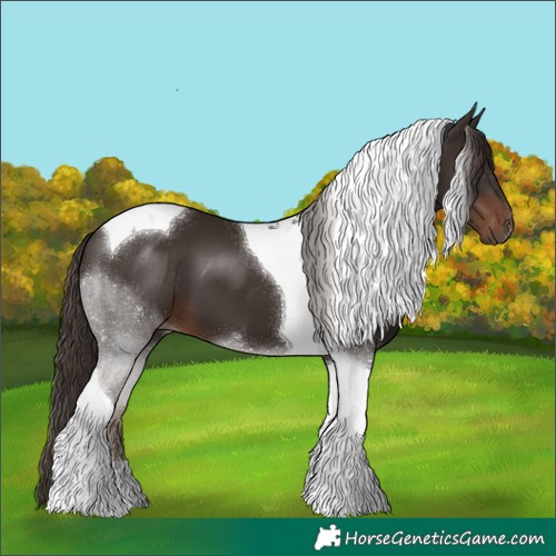 Horse Color:Liver Chestnut Tobiano 