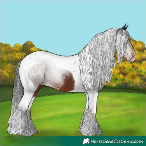 Horse Color:Liver Chestnut Tobiano 