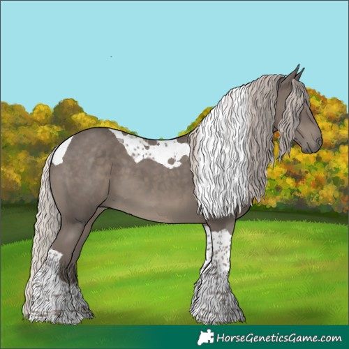 Horse Color:Silver Black Tobiano