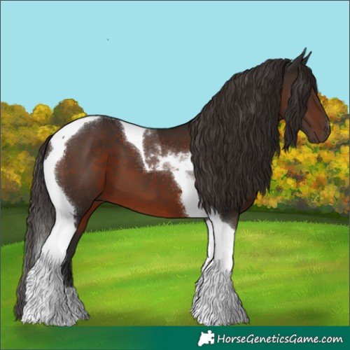 Horse Color:Liver Chestnut Tobiano 