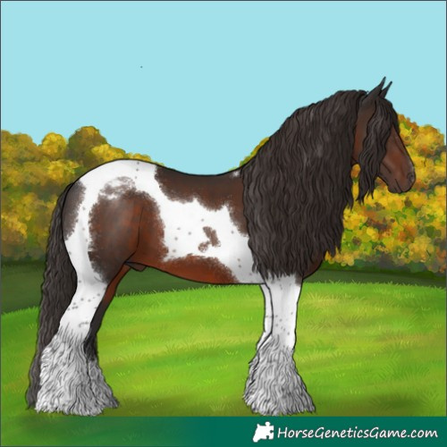 Horse Color:Liver Chestnut Tobiano