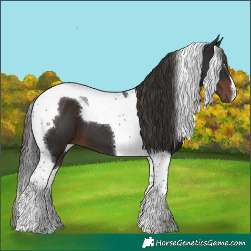 Horse Color:Liver Chestnut Tobiano 