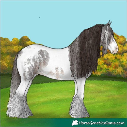 Horse Color:Liver Chestnut Sabino Tobiano