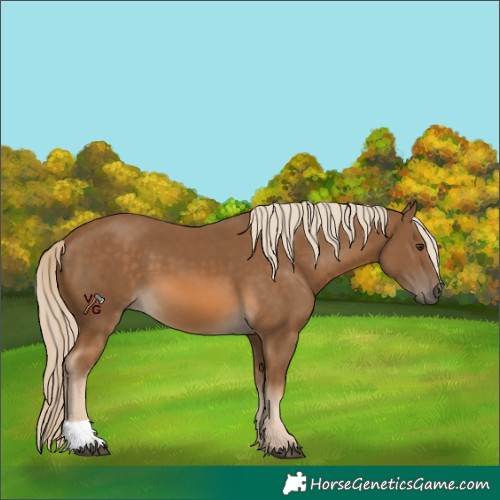 Horse Color:Chocolate Palomino