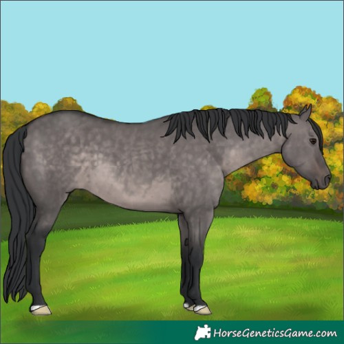 Horse Color:Platinum Brown Dun 