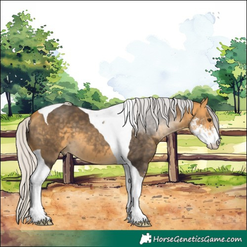 Horse Color:Silver Buckskin Sabino Tobiano