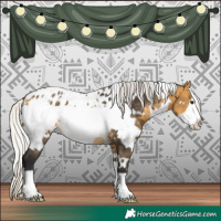 Horse Color:White Spotted Silver Buckskin Frame Blanket
