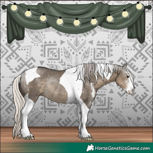Horse Color:Silver Smoky Grullo Sabino Tobiano Rabicano