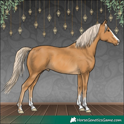Horse Color:Palomino