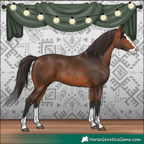 Horse Color:Bay Splash