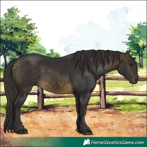 Horse Color:Buckskin