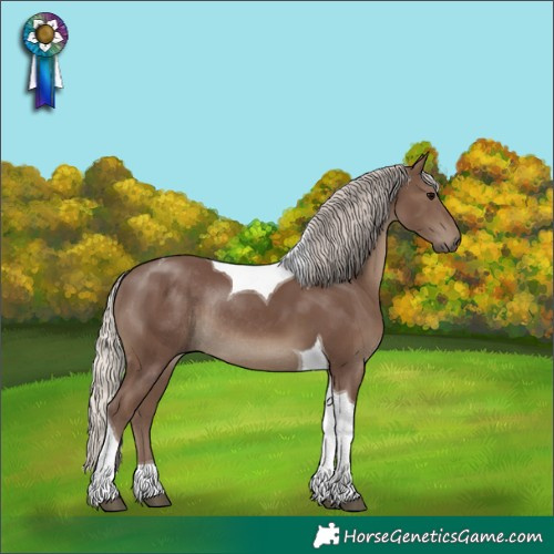 Horse Color:Silver Black Tobiano Rabicano 