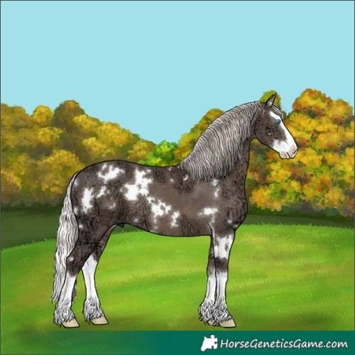 Horse Color:White Spotted Silver Black Ice Splash