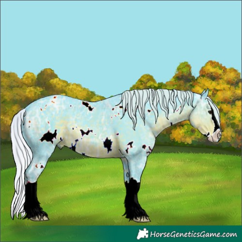 Horse Color:Watercolor White Spotted Silver Smoky Black Ice Splash 