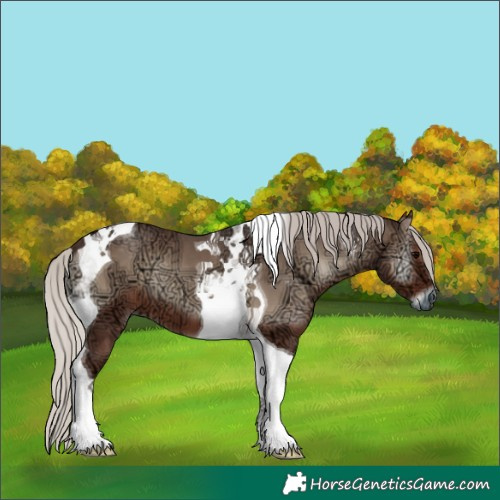 Horse Color:Silver Blue Onyx Ice Tobiano