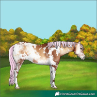 Horse Color:Painted White Spotted Silver Bay Onyx Tobiano 