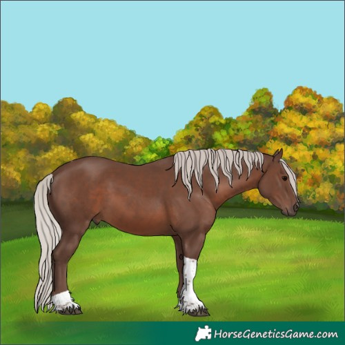 Horse Color:White Spotted Silver Black Tobiano Rabicano