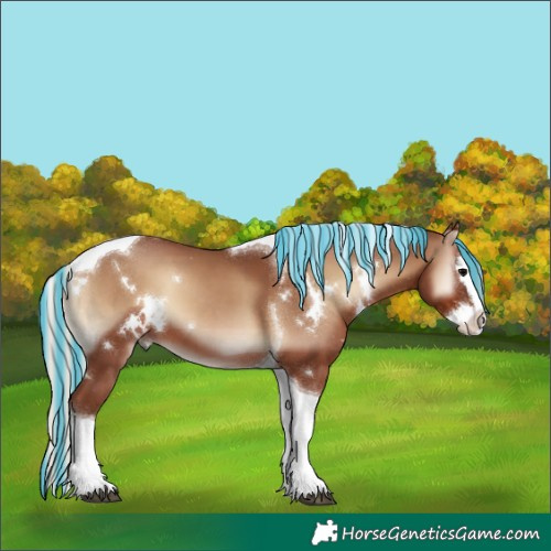 Horse Color:Painted White Spotted Silver Blue Onyx Splash Tobiano 