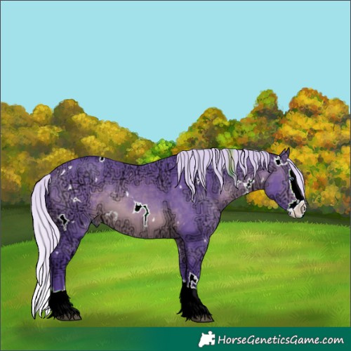 Horse Color:Watercolor White Spotted Silver Brown Chinchilla Ice Splash