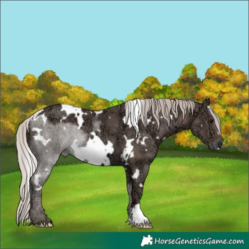 Horse Color:White Spotted Silver Black Ice 