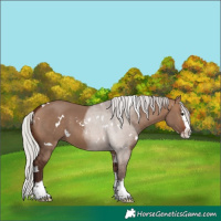 Horse Color:White Spotted Silver Brown Dun Splash