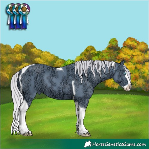 Horse Color:Watercolor Silver Black Ice Splash Tobiano
