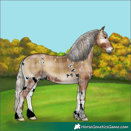 Horse Color:Plaid  White Spotted Silver Blue Onyx 