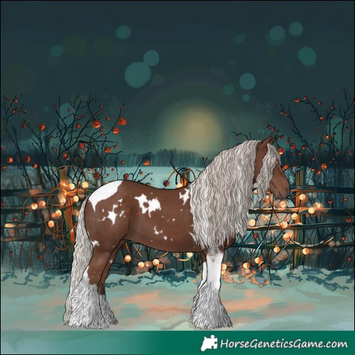 Horse Color:White Spotted Silver Black Tobiano