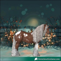 Horse Color:White Spotted Silver Black Tobiano