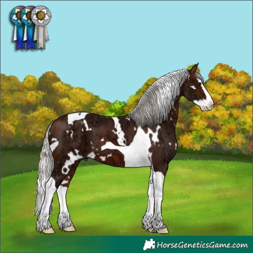 Horse Color:White Spotted Silver Brown Ice Splash Tobiano